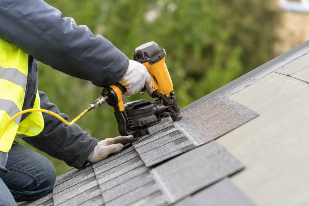 Best Roof Moss and Algae Removal  in Belmond, IA